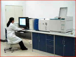 技術服務的定義、類型與價值