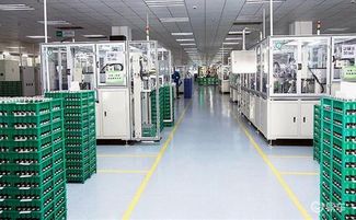 寧德時(shí)代首個(gè)海外工廠正式動(dòng)工，信息技術(shù)咨詢服務(wù)助力全球化布局