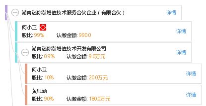 湖南迷你泓增值技術(shù)服務(wù)合伙企業(yè)（有限合伙）綜合信息概覽